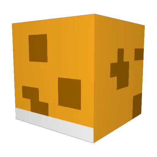 Niblz_ Minecraft avatar head, 3D render