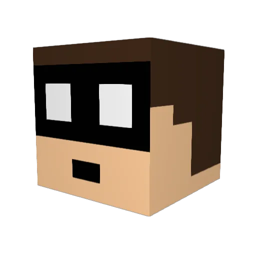 Nibor17 Minecraft avatar head, 3D render