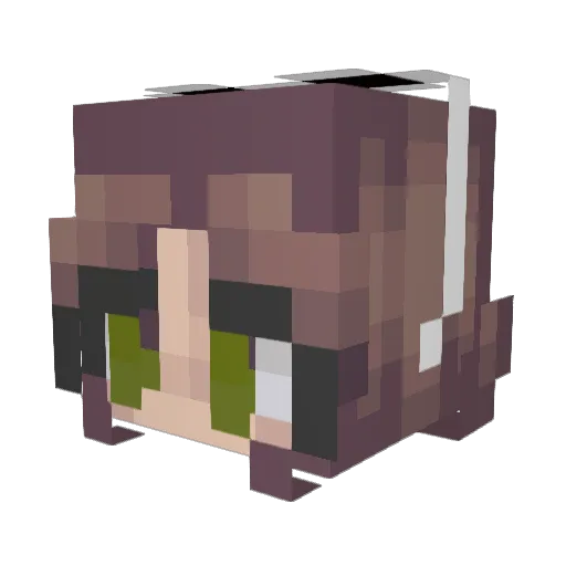 Nibrezzy Minecraft avatar head, 3D render