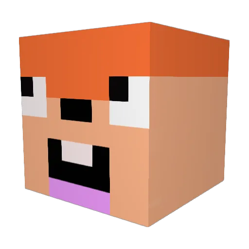 Nibro__ Minecraft avatar head, 3D render