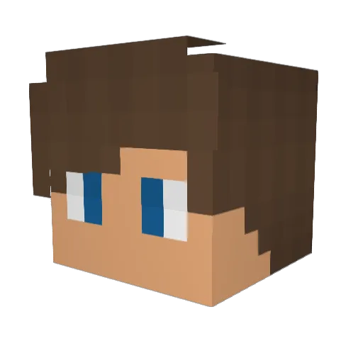 Nic0olai Minecraft avatar head, 3D render