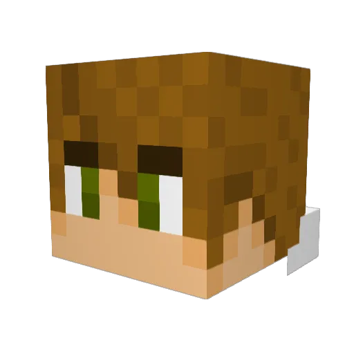 Nic40027 Minecraft avatar head, 3D render