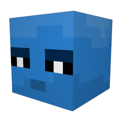 NicCamPalmer Minecraft avatar head, 3D render