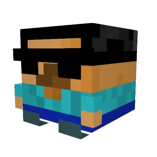 NicHavoc03 Minecraft avatar head, 3D render