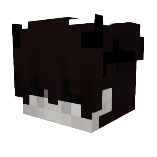 NicHub Minecraft avatar head, 3D render