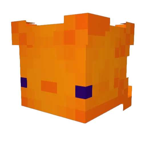 Nic_turt Minecraft avatar head, 3D render