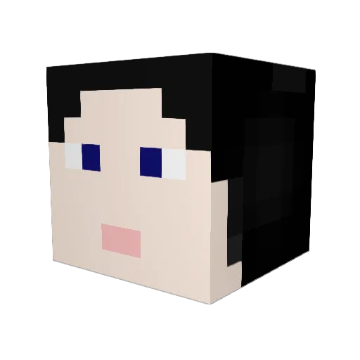 Nica0 Minecraft avatar head, 3D render