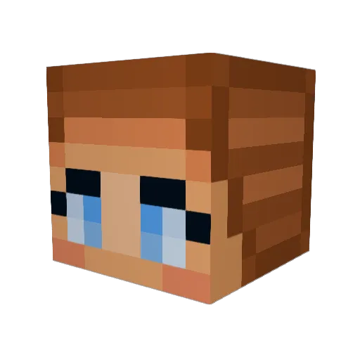 NicaJanet Minecraft avatar head, 3D render