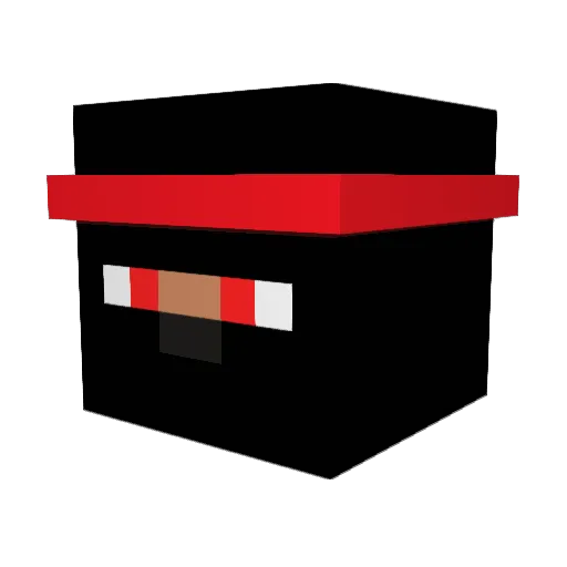 Nicamos Minecraft avatar head, 3D render