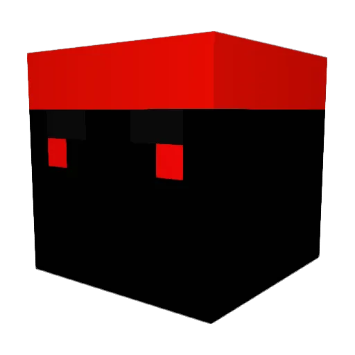 Nicaroni1234 Minecraft avatar head, 3D render