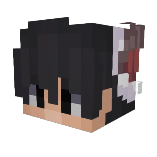 NiccBoy Minecraft avatar head, 3D render