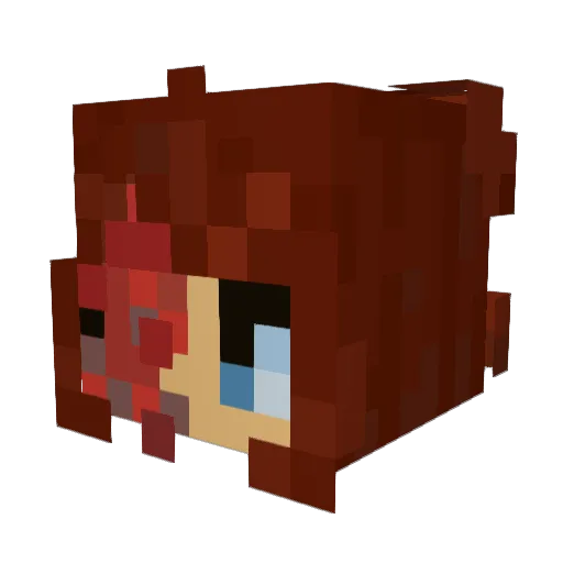 Nicche_34 Minecraft avatar head, 3D render