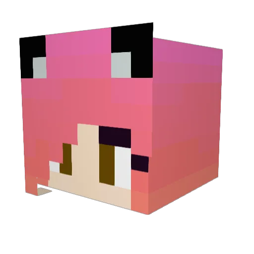 Nicciej Minecraft avatar head, 3D render