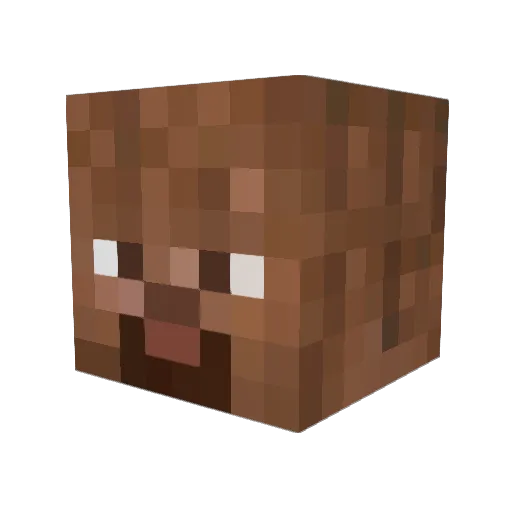 Niccoli Minecraft avatar head, 3D render