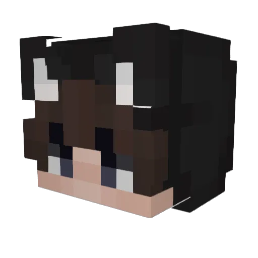Nice Minecraft avatar head, 3D render