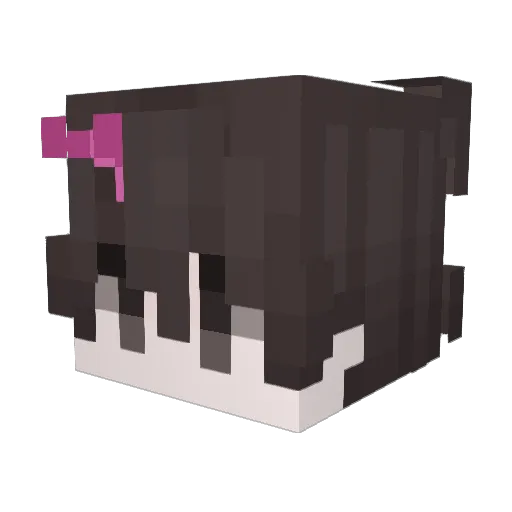 NiceCamm Minecraft avatar head, 3D render