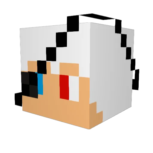 NiceCoc1234 Minecraft avatar head, 3D render