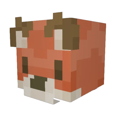 NiceCoke121 Minecraft avatar head, 3D render