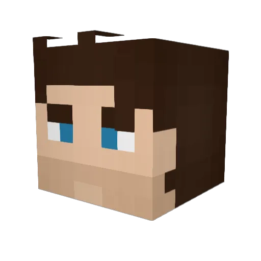 NiceGuyReset Minecraft avatar head, 3D render