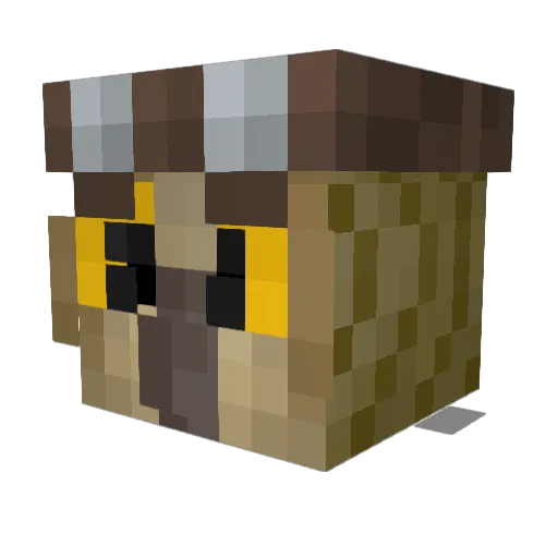 NiceMonster64 Minecraft avatar head, 3D render