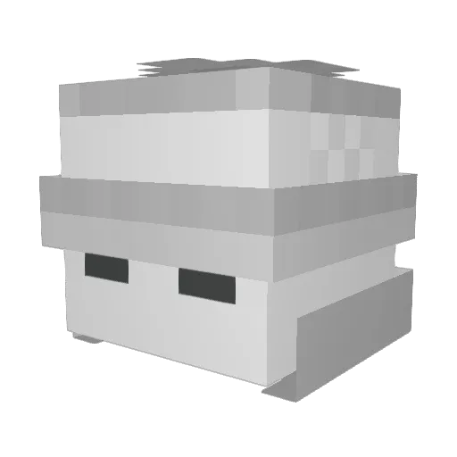 NicePiotrek Minecraft avatar head, 3D render