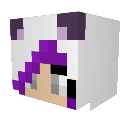 NicePuppy998 Minecraft avatar head, 3D render