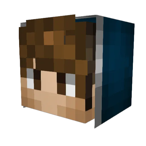NiceR_Nick Minecraft avatar head, 3D render