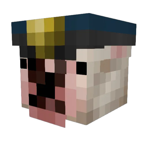 Nice__Guy_ Minecraft avatar head, 3D render