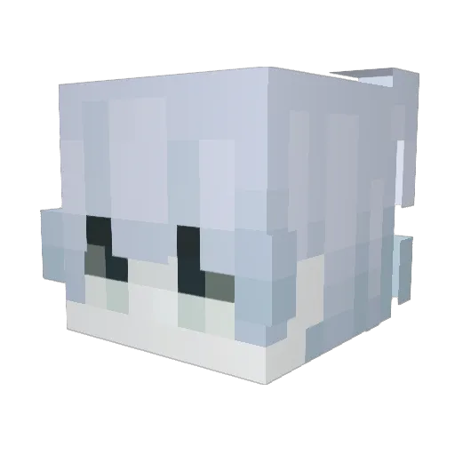Nicebear05 Minecraft avatar head, 3D render