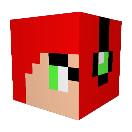 Nicecat11 Minecraft avatar head, 3D render