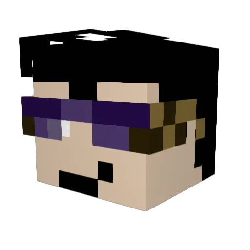 Nicecoolfunguy Minecraft avatar head, 3D render