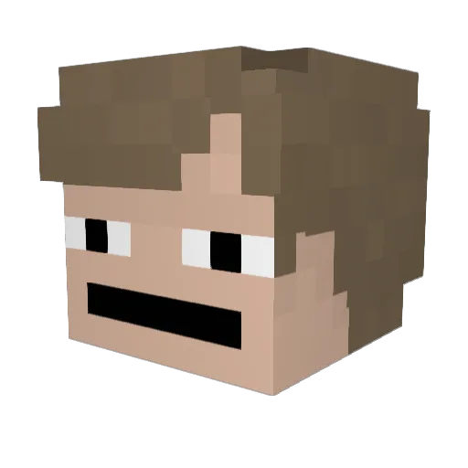 Nicedin Minecraft avatar head, 3D render