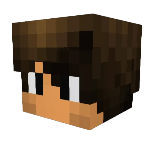 Nicefreeze Minecraft avatar head, 3D render