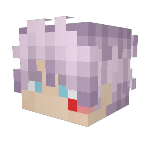 Nicemasterkai6 Minecraft avatar head, 3D render
