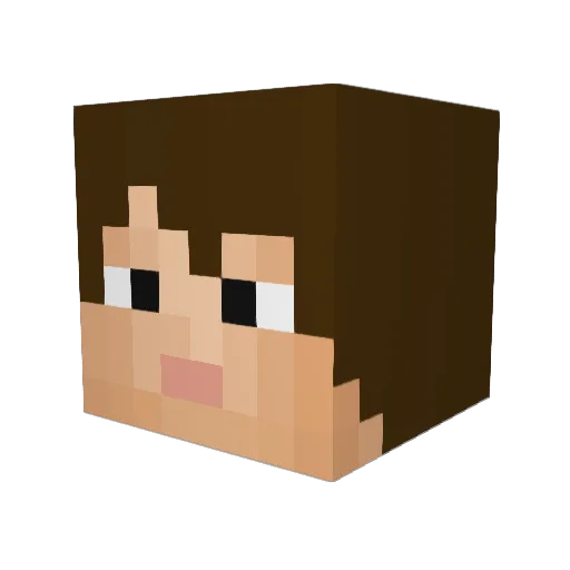 Nicetomitja Minecraft avatar head, 3D render