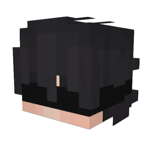Nich0Las_777 Minecraft avatar head, 3D render