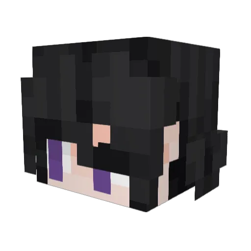 NichFich Minecraft avatar head, 3D render