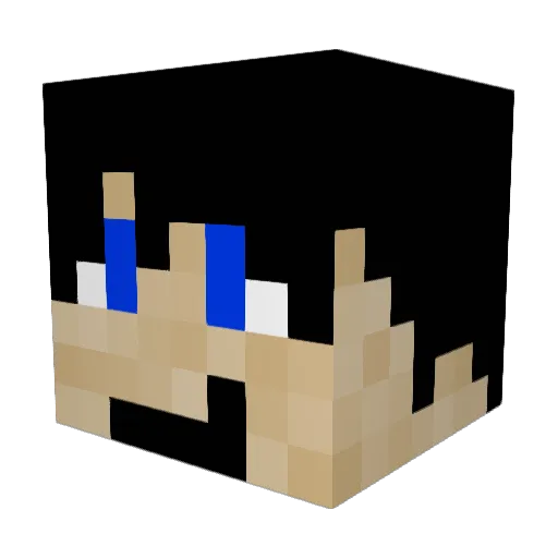 Nicho2013 Minecraft avatar head, 3D render