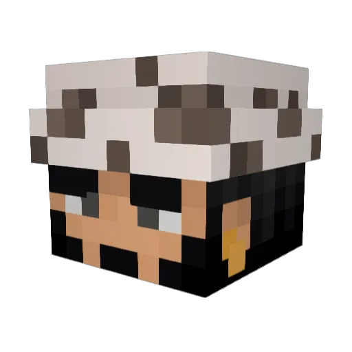 Nicho7 Minecraft avatar head, 3D render
