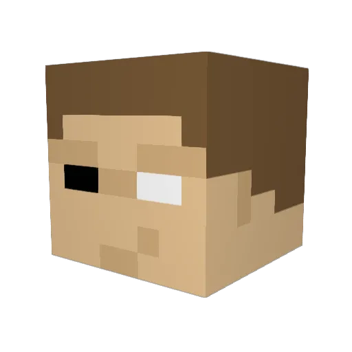 Nicho8792 Minecraft avatar head, 3D render