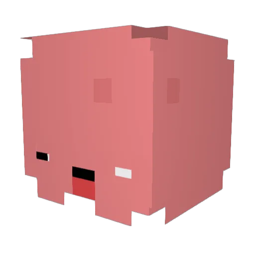 Nicho_Playzz Minecraft avatar head, 3D render