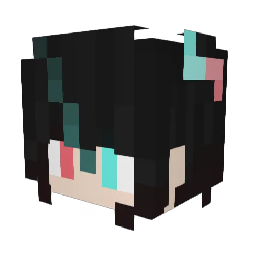 Nicholache Minecraft avatar head, 3D render