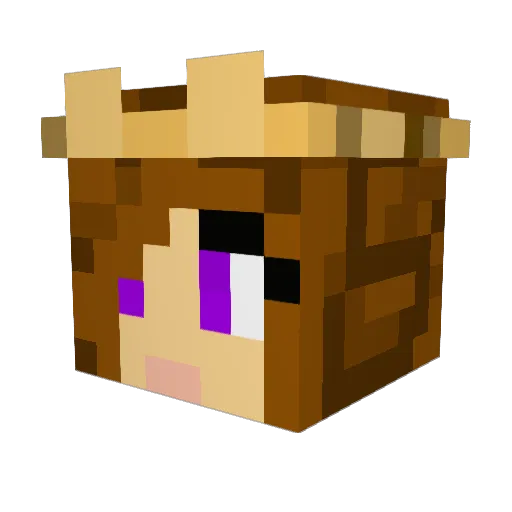 NicholasL6 Minecraft avatar head, 3D render