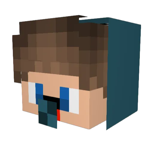 Nicholasfald Minecraft avatar head, 3D render