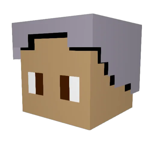 Nicholasminhle Minecraft avatar head, 3D render