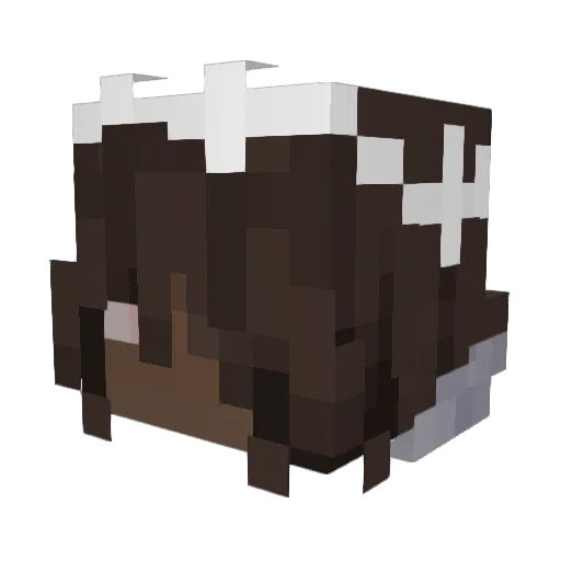 Nichotist Minecraft avatar head, 3D render