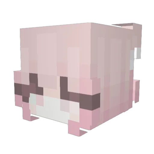 NichtJann Minecraft avatar head, 3D render