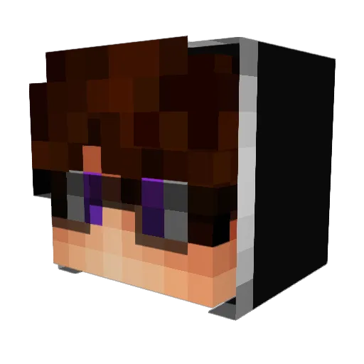 NichtMeinDing Minecraft avatar head, 3D render