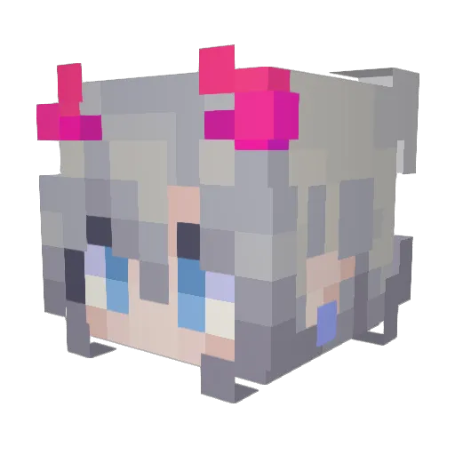 NichtNiklas_ Minecraft avatar head, 3D render