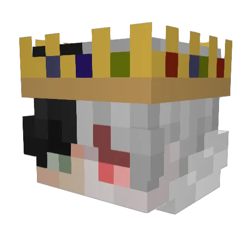 NichtNinja Minecraft avatar head, 3D render